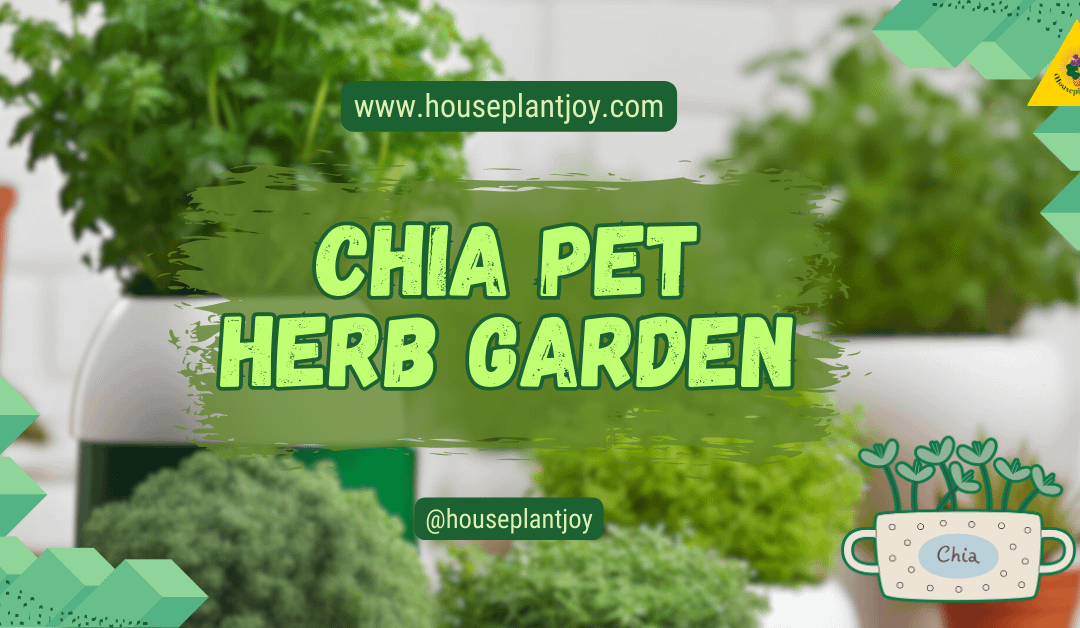 Chia Pet Herb Garden