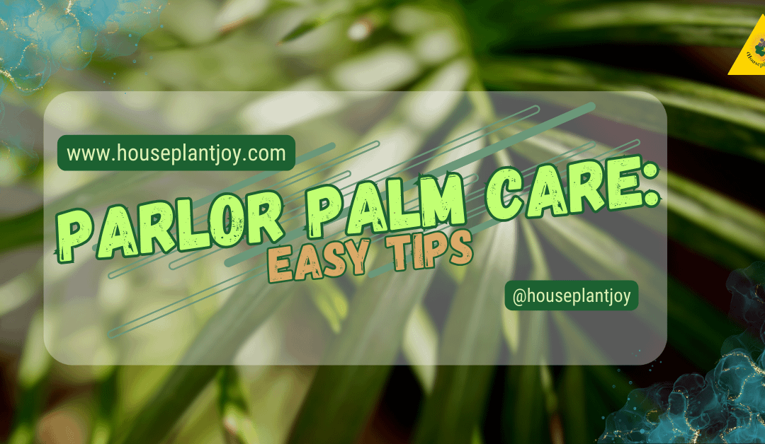 Parlor Palm Care: Easy Tips