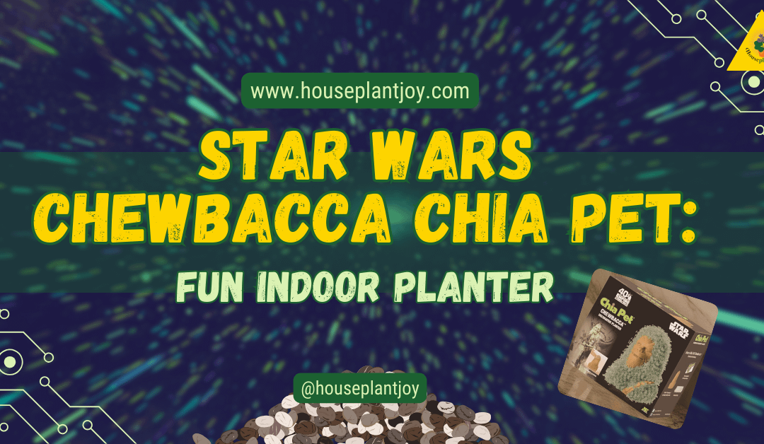 Star Wars Chewbacca Chia Pet: Fun Indoor Planter