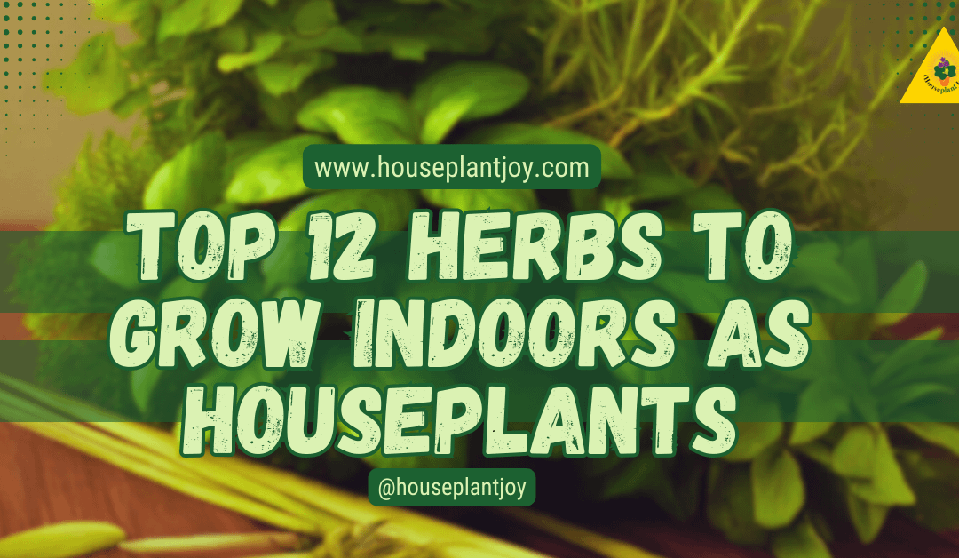 Top 12 Herbs to Grow Indoors as Houseplants