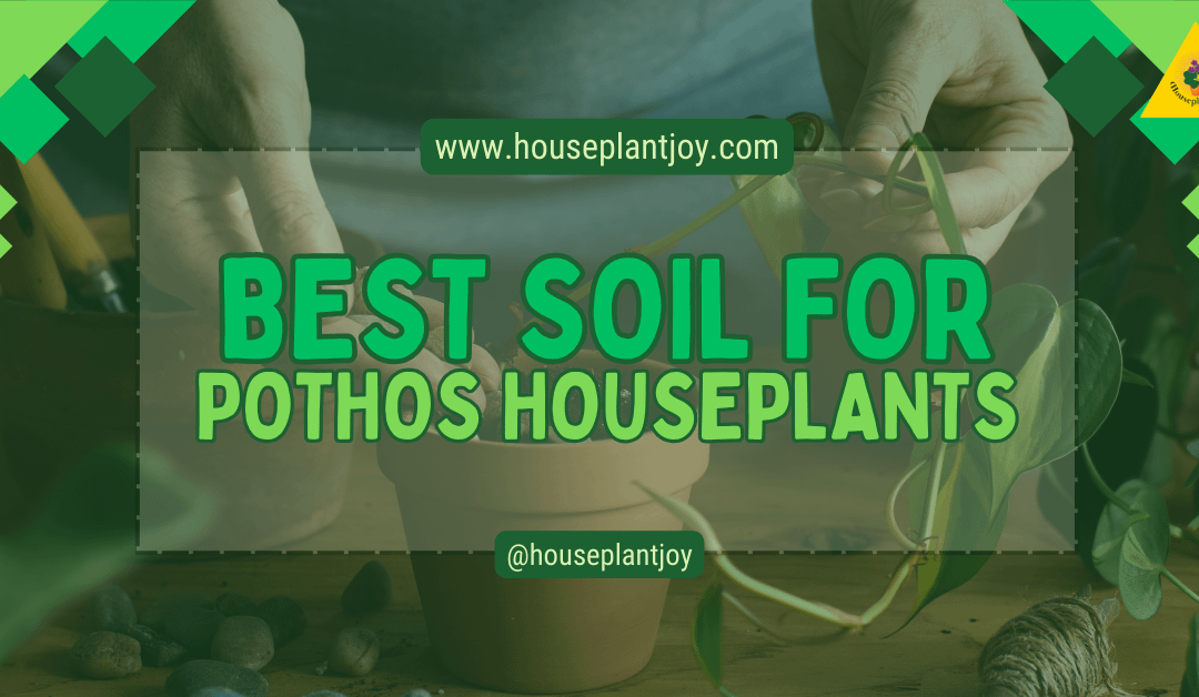 Best Soil for Pothos Houseplants