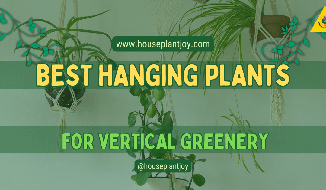Best Hanging Plants For Vertical Greenery