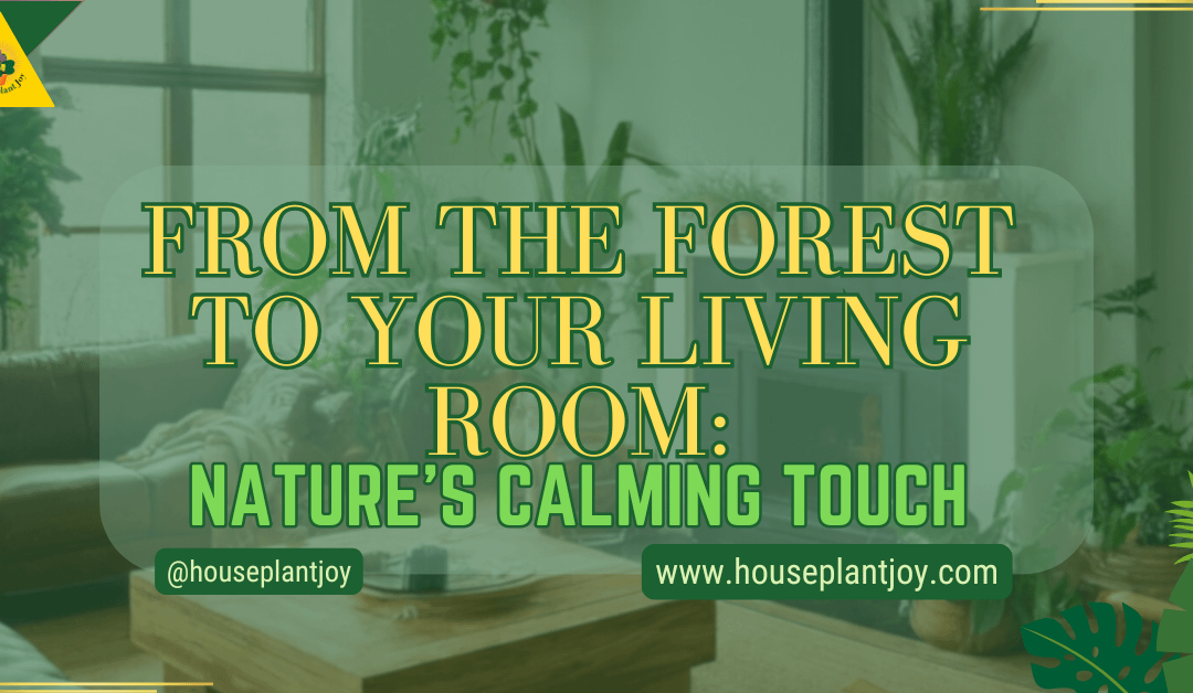 From The Forest To Your Living Room:  Nature’s Calming Touch