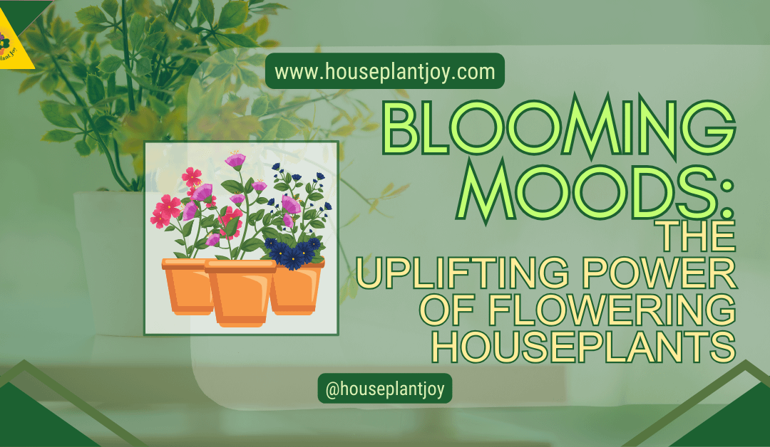 Blooming Moods: The Uplifting Power Of Flowering Houseplants