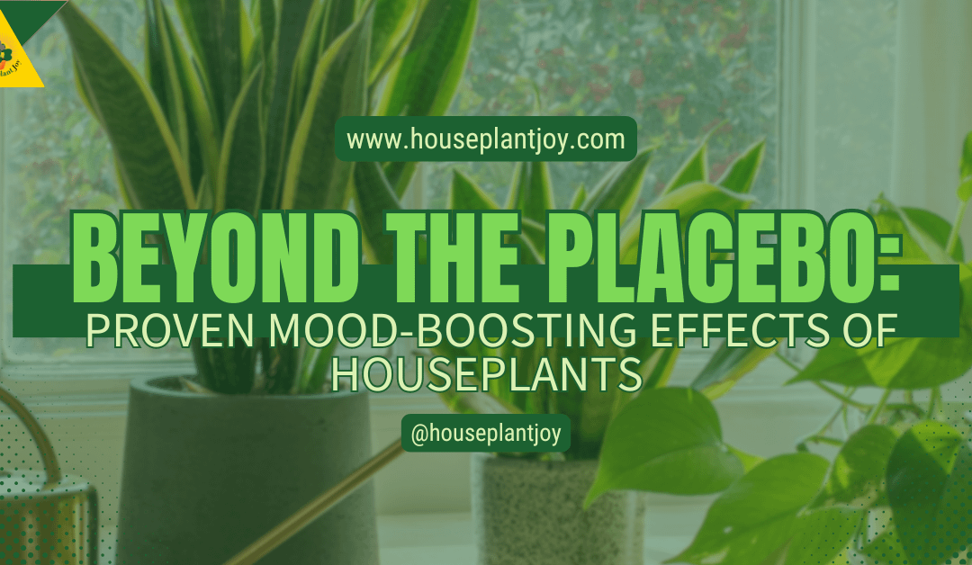 Beyond The Placebo: Proven Mood-Boosting Effects Of Houseplants