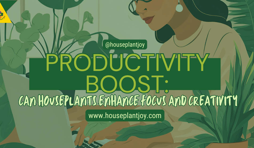 Productivity Boost: Can Houseplants Enhance Focus And Creativity