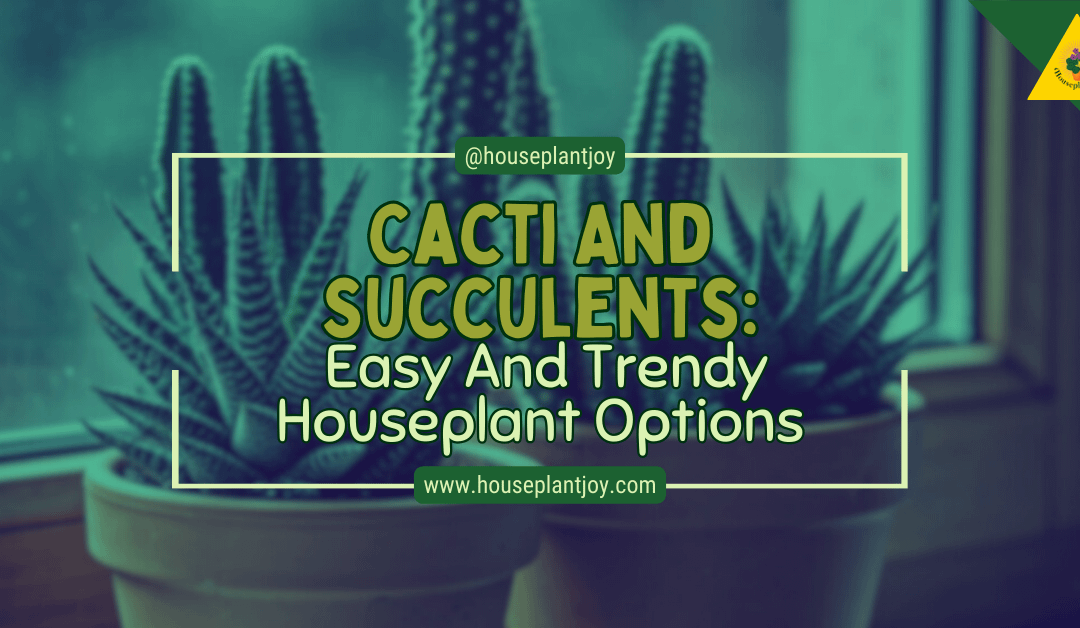 Cacti And Succulents: Easy And Trendy Houseplant Options