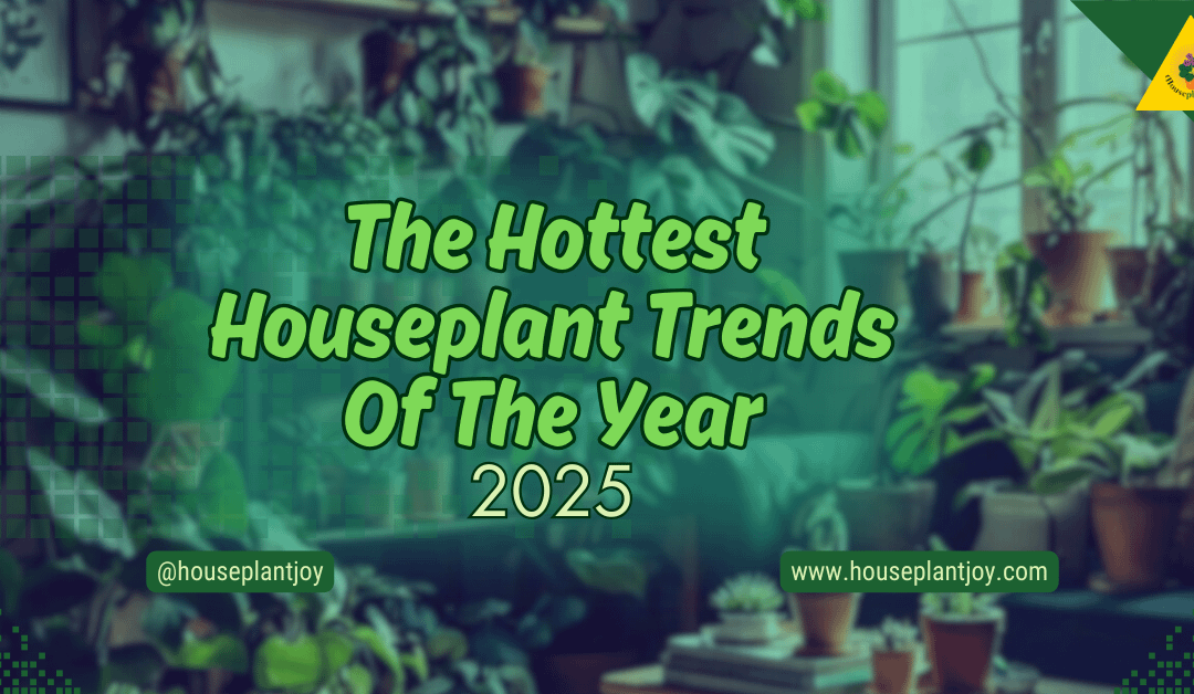 The Hottest Houseplant Trends Of The Year