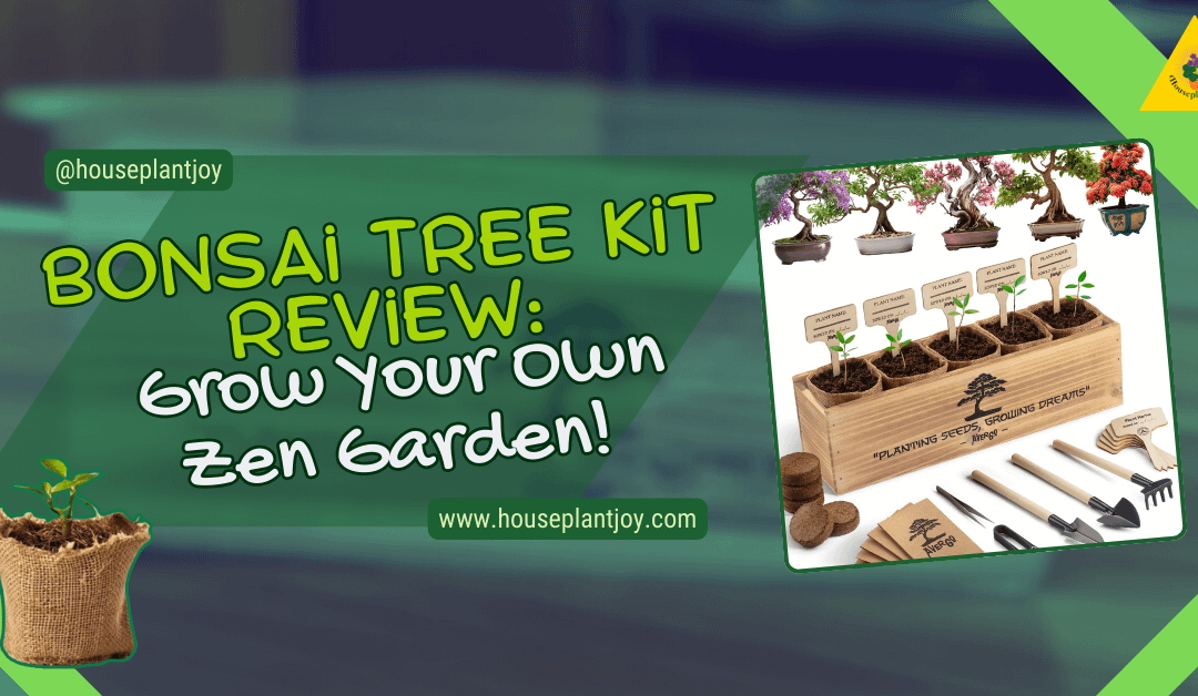 Bonsai Tree Kit Review: Grow Your Own Zen Garden!