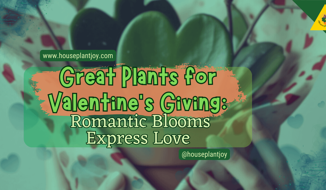 Great Plants for Valentine’s Giving: Romantic Blooms Express Love