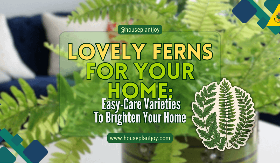 Lovely Ferns For Your Home: Easy-Care Varieties To Brighten Your Home