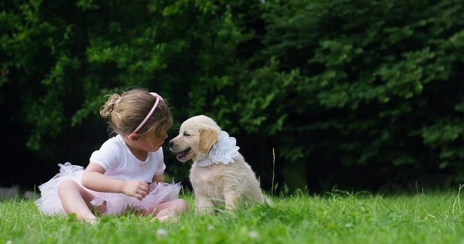 9 Best Puppy Training Tips: Raise a Good Pup!