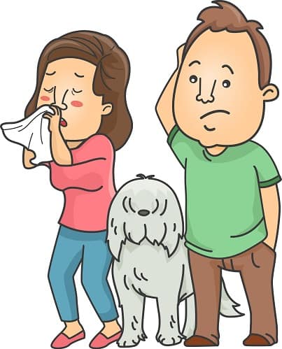 Best Air Purifier For Homes With Pets