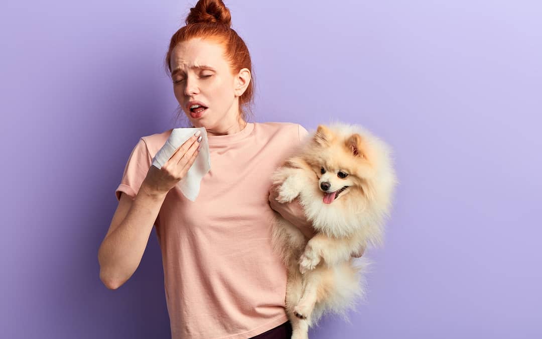 Discover The Ways To Overcome Pet Allergies