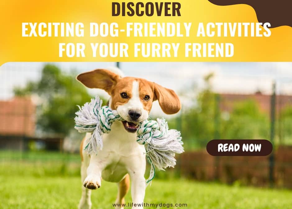 Discover Exciting Dog-Friendly Activities for Your Furry Friend