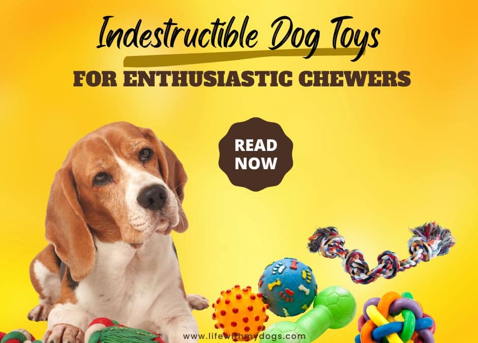 Indestructible Dog Toys For Enthusiastic Chewers