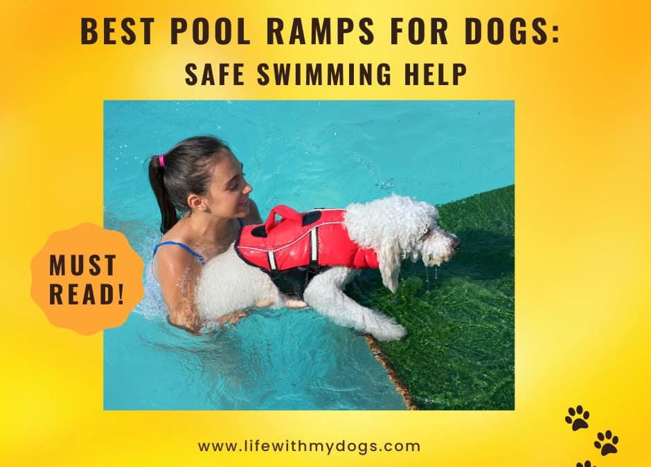 Best Pool Ramps for Dogs: Safe Swimming Help