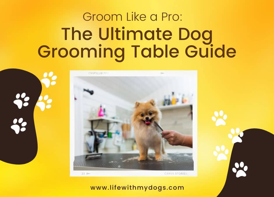 Groom Like a Pro The Ultimate Dog Grooming Table Guide