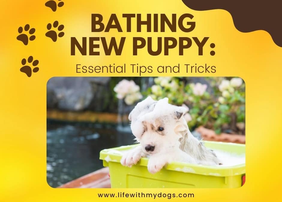 Bathing New Puppy: Essential Tips and Tricks