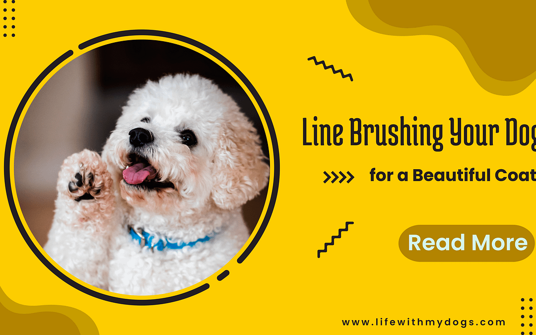 line brushing your dog