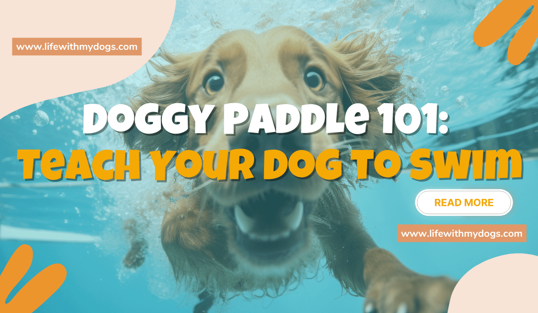 Doggy Paddle 101: Teach Your Dog to Swim