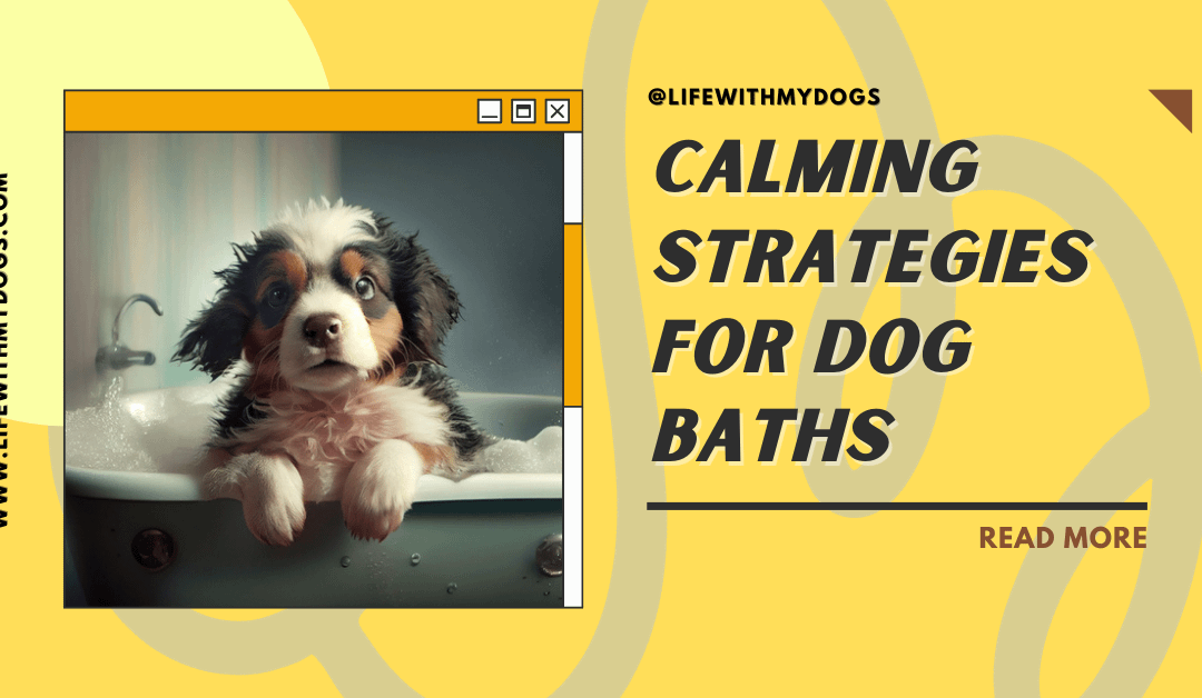 Why Do Dogs Hate Baths? ( & Tips to Soothe a Scared Dog)