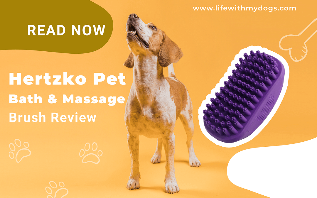 Hertzko Pet Bath & Massage Brush Review (1)