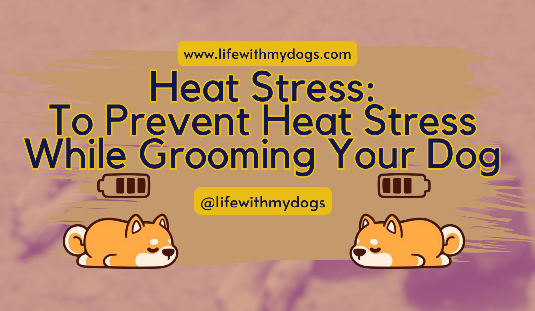 Heat Stress: To Prevent Heat Stress While Grooming Your Dog