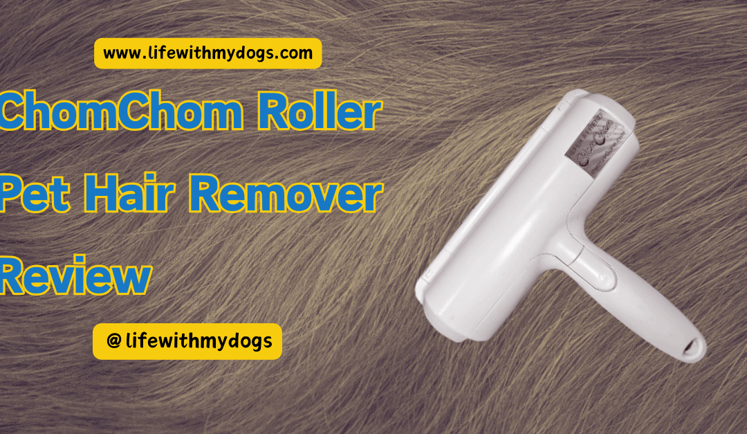 ChomChom Roller Pet Hair Remover Review