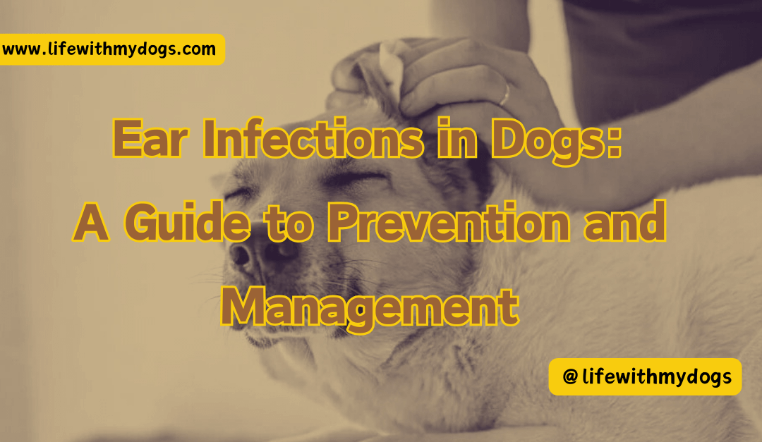 Ear Infections in Dogs: A Guide to Prevention and Management