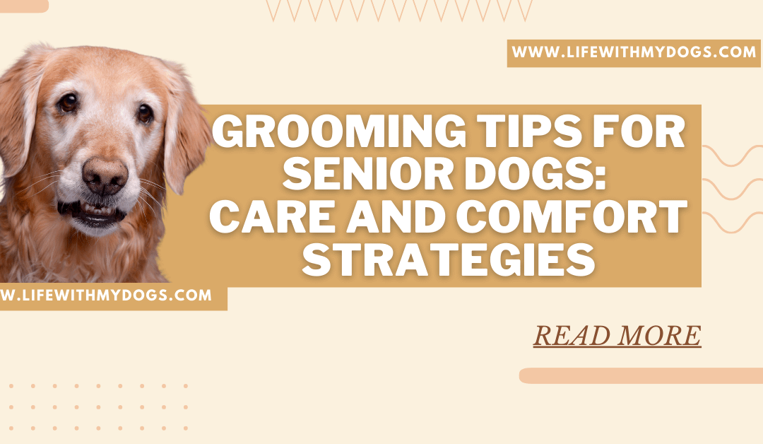 Grooming Tips for Senior Dogs: Care and Comfort Strategies