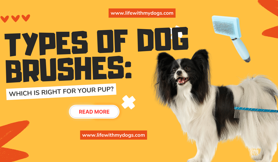 Types of Dog Brushes: Which is Right for Your Pup?