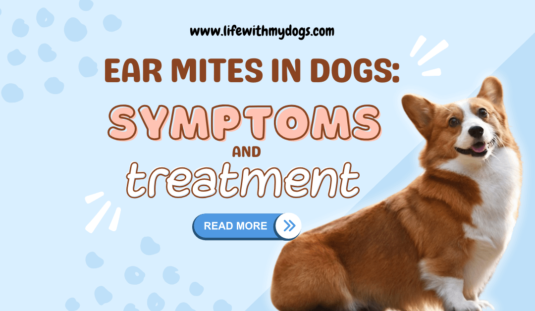 Ear Mites in Dogs: Symptoms and Treatment