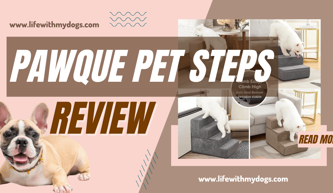 Pawque Pet Steps Review