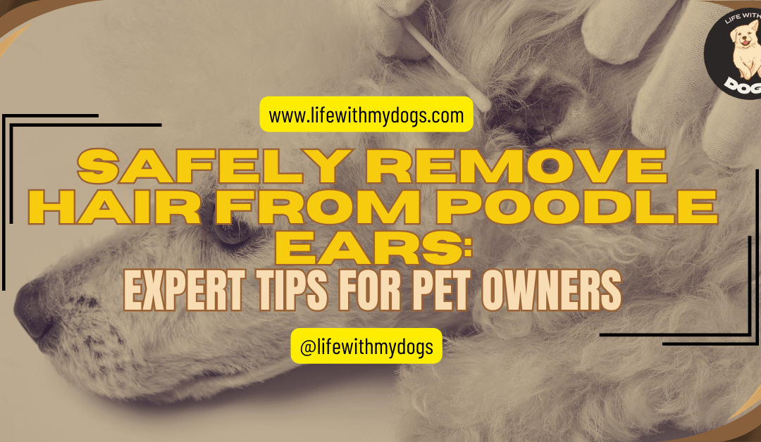 Safely Remove Hair from Poodle Ears: Expert Tips for Pet Owners