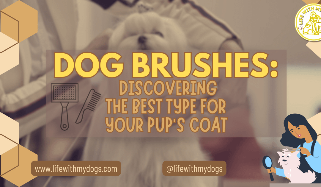 Dog Brushes: Discovering the Best Type for Your Pup’s Coat