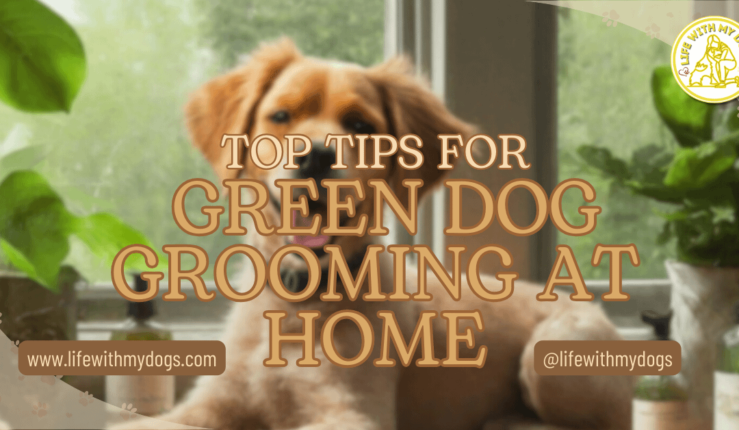 Top Tips For Green Dog Grooming At Home