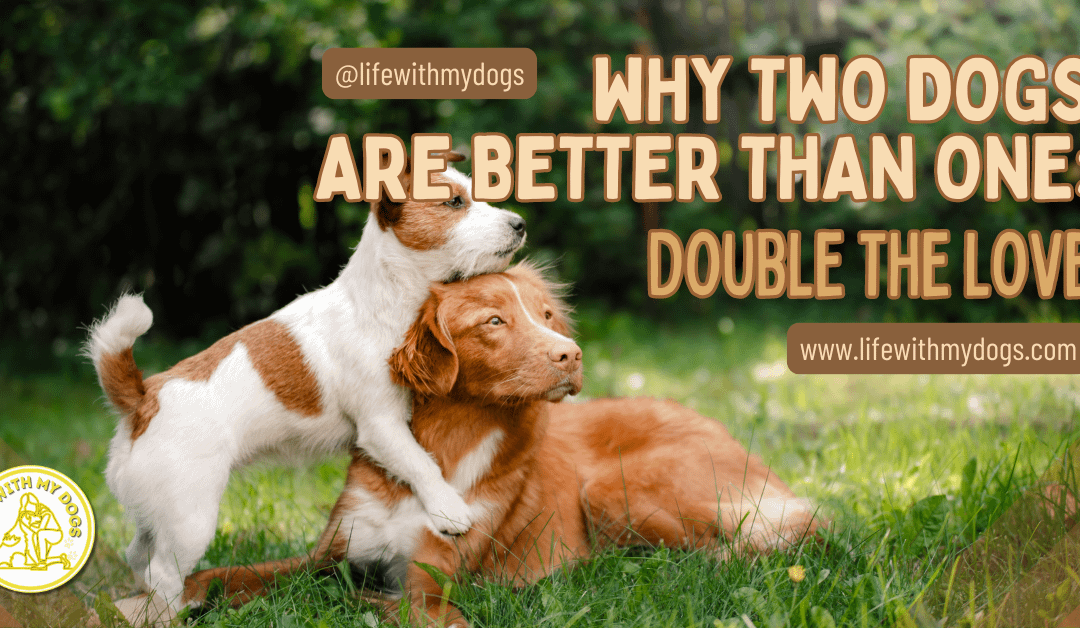 Why Two Dogs Are Better Than One: Double The Love