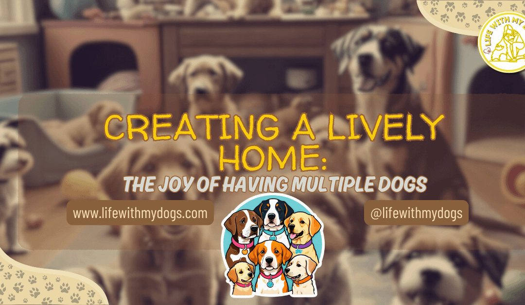 Creating A Lively Home: The Joy of Having Multiple Dogs