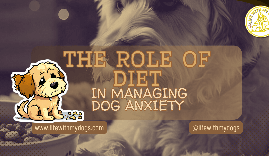 The Role Of Diet In Managing Dog Anxiety