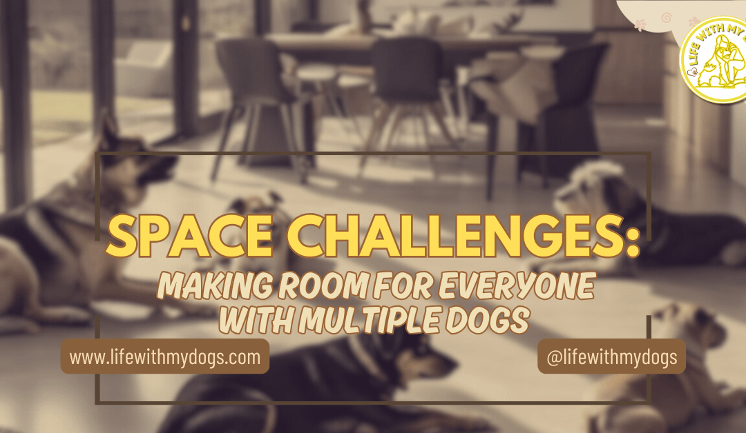 Space Challenges: Making Room For Everyone With Multiple Dogs