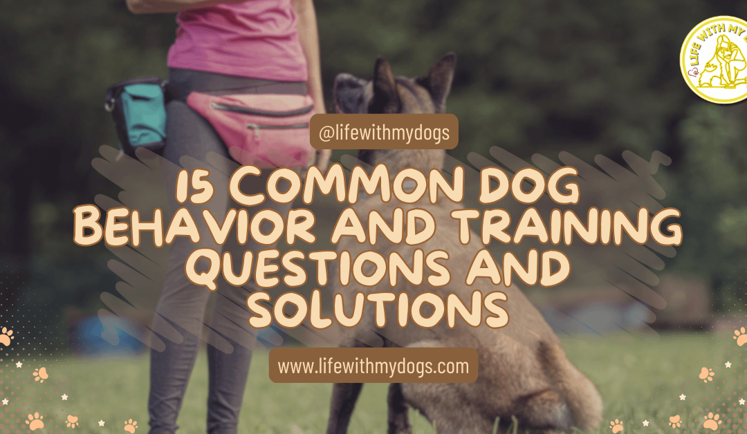 15 Common Dog Behavior And Training Questions And Solutions