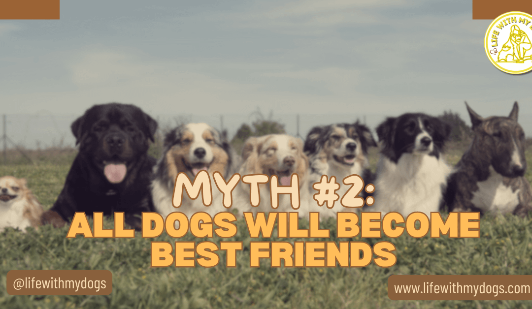 Myth #2: All Dogs Will Become Best Friends