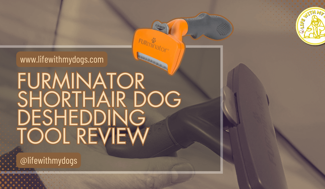 FURminator Shorthair Dog deShedding Tool Review