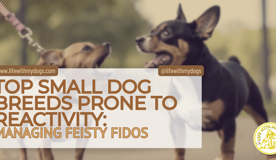 Top Small Dog Breeds Prone to Reactivity: Managing Feisty Fidos