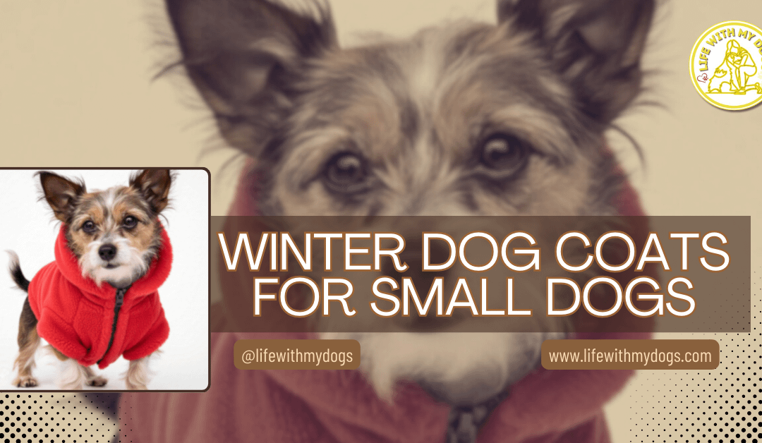 Winter Dog Coats for Small Dogs