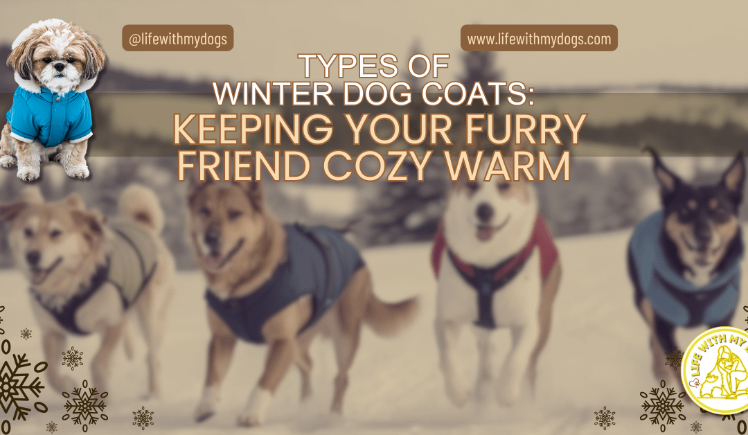 Types of Winter Dog Coats: Keeping Your Furry Friend Cozy Warm