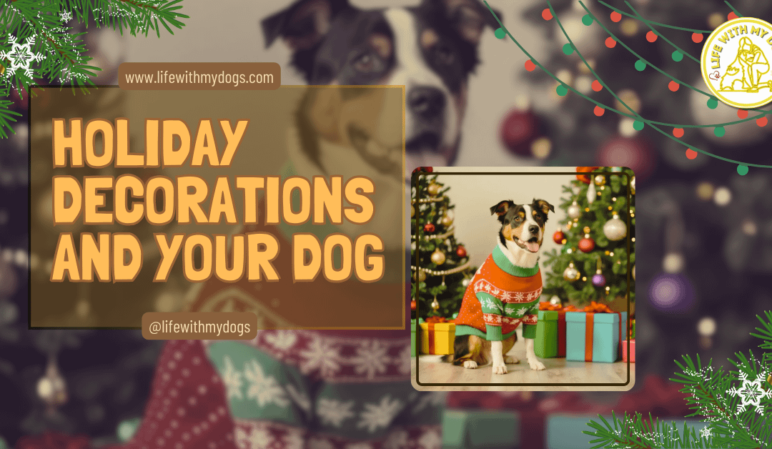 Holiday Decorations and Your Dog