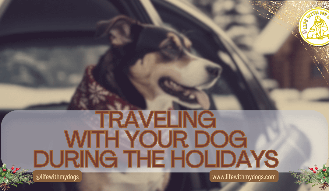 Traveling With Your Dog During the Holidays