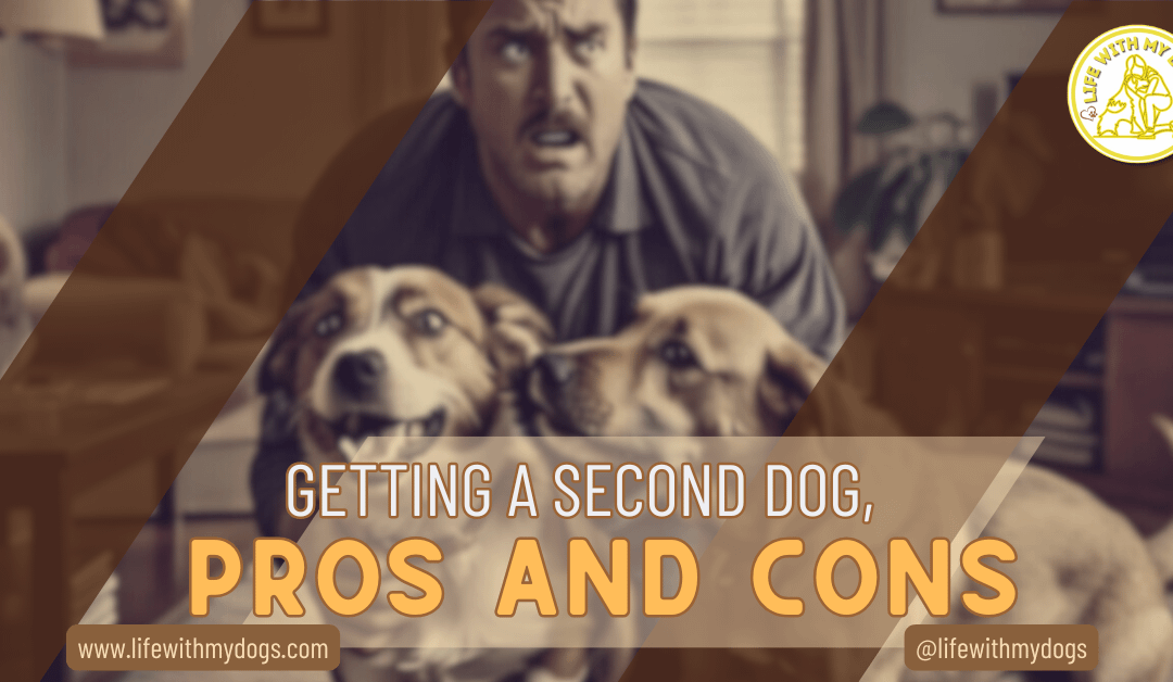 Getting a Second Dog, Pros and Cons